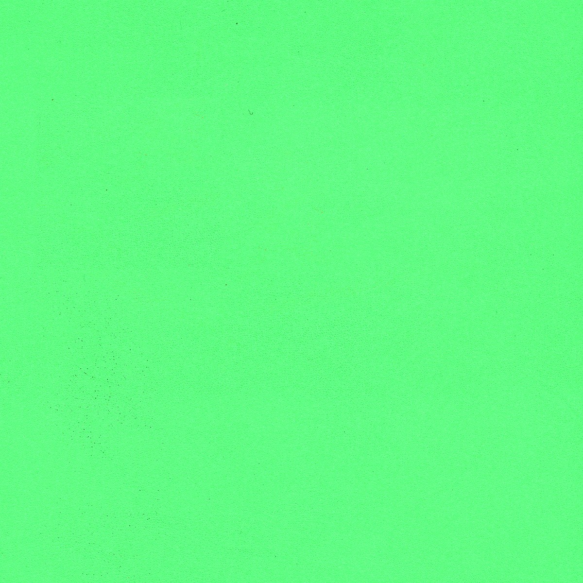 Cargo Deck Green 1955 Nomad & Wagon