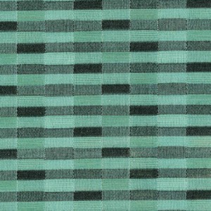 Cloth Green 1961 Biscayne