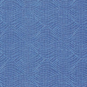 Cloth Blue 1967 Caprice