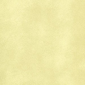 VINYL Sandalwood 70 MADRID(&66 BIS Fawn