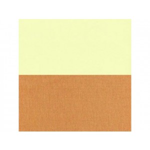 1955 Bel Air 4 Door Sedan Preassembled Side Panel Set -Beige/BRN