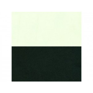 1956 Bel Air 4 Door Hardtop Preassembled Side Panel Set -Ivory/Charcoal